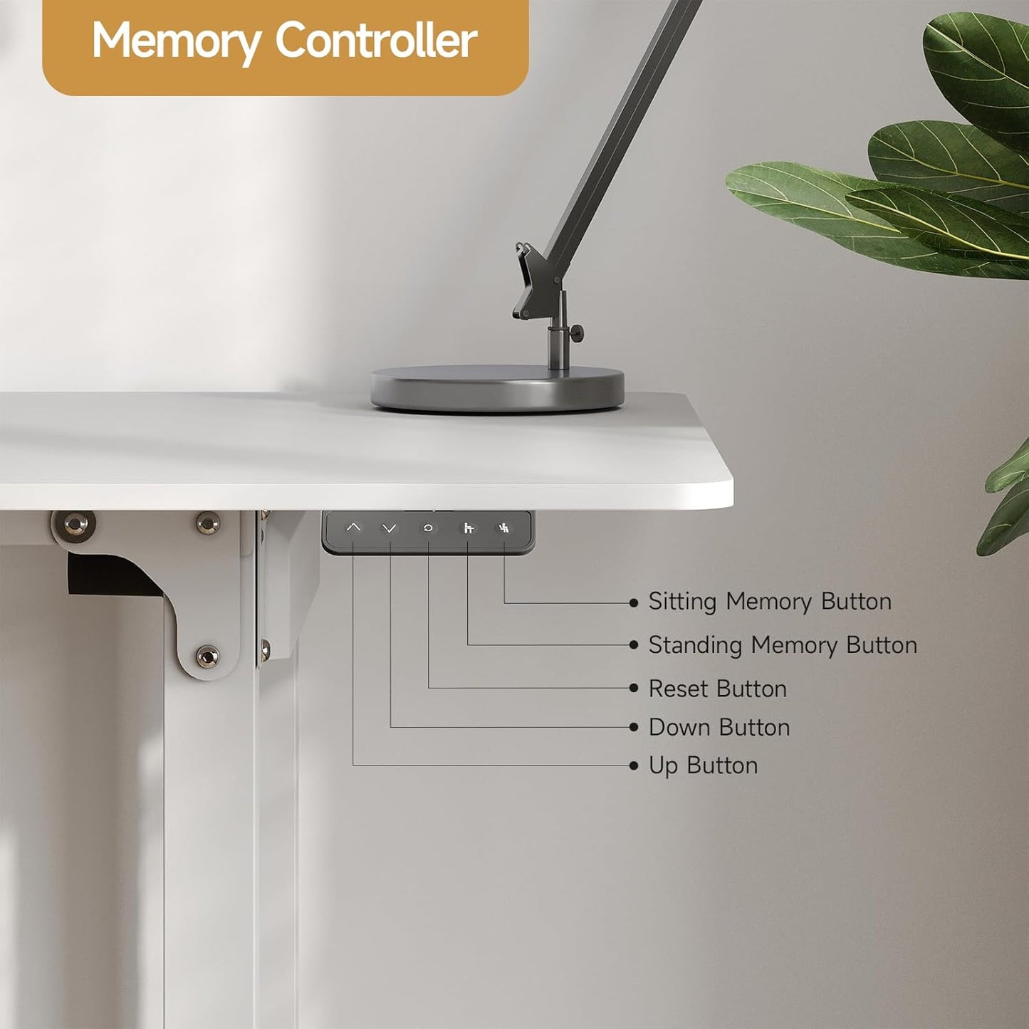 Standing Desk, 71x32 Inches Rectangle Stand Up Desk with 4 Legs, Dual Motor and Memory Controller, Adjustable Height from 28-46 Inches for Home and Computer Workstation, White